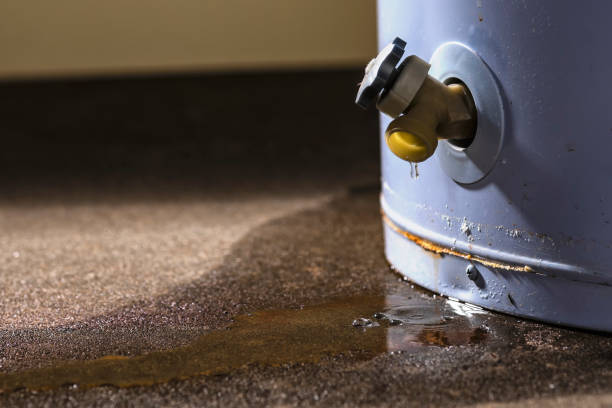 Best Basement water damage restoration  in West Union, OH