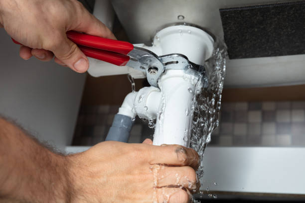 Best Water damage repair service  in West Union, OH