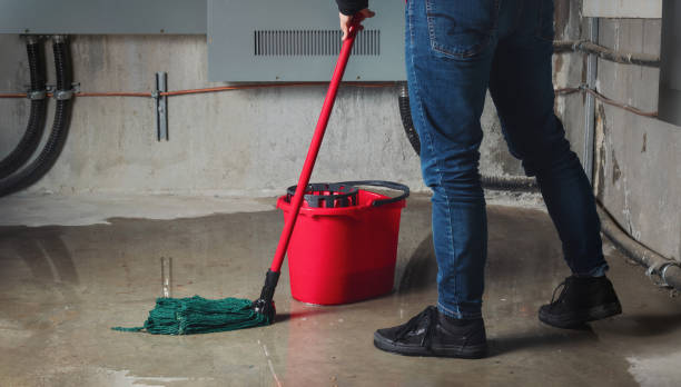Best Fire Damage Restoration  in West Union, OH
