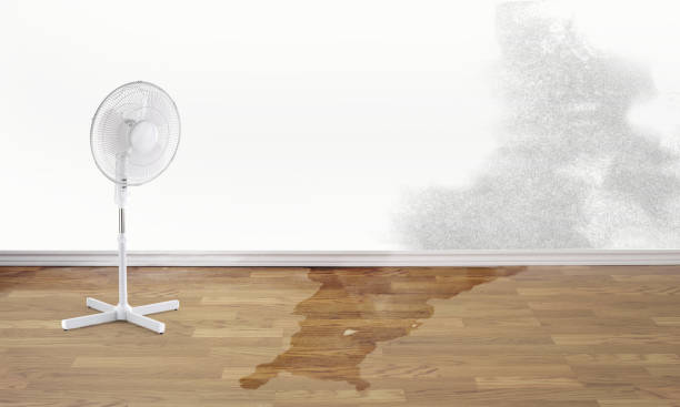 Best Flooded house restoration  in West Union, OH