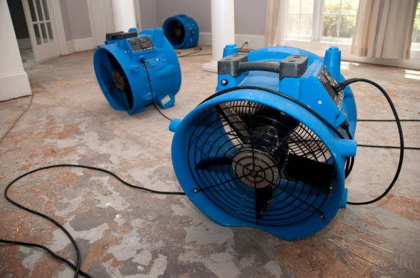 Best Water damage restoration cost  in West Union, OH