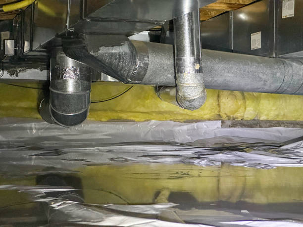 Best Water damage repair service  in West Union, OH