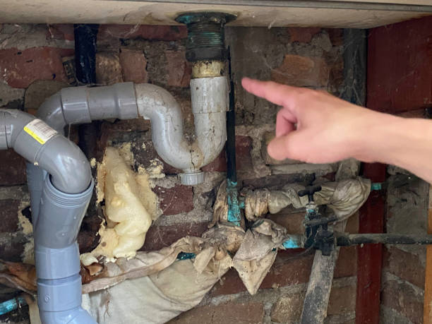 Best Water damage restoration near me  in West Union, OH