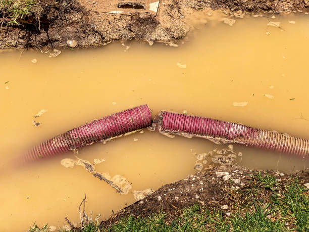 Best Emergency water damage restoration  in West Union, OH