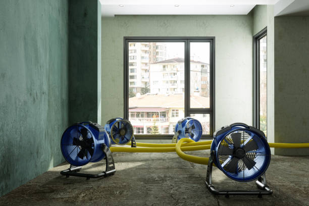 Best Water damage restoration near me  in West Union, OH