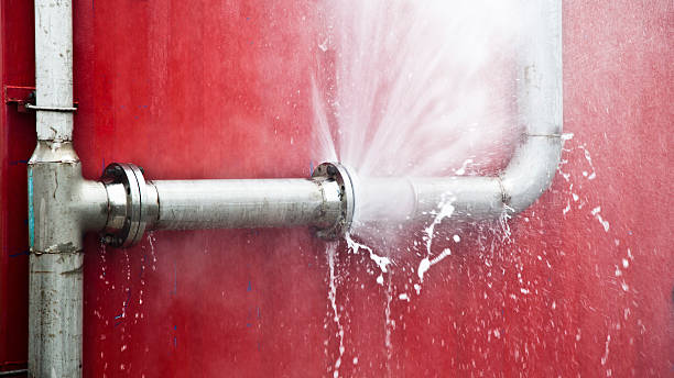 Best Professional water damage repair  in West Union, OH